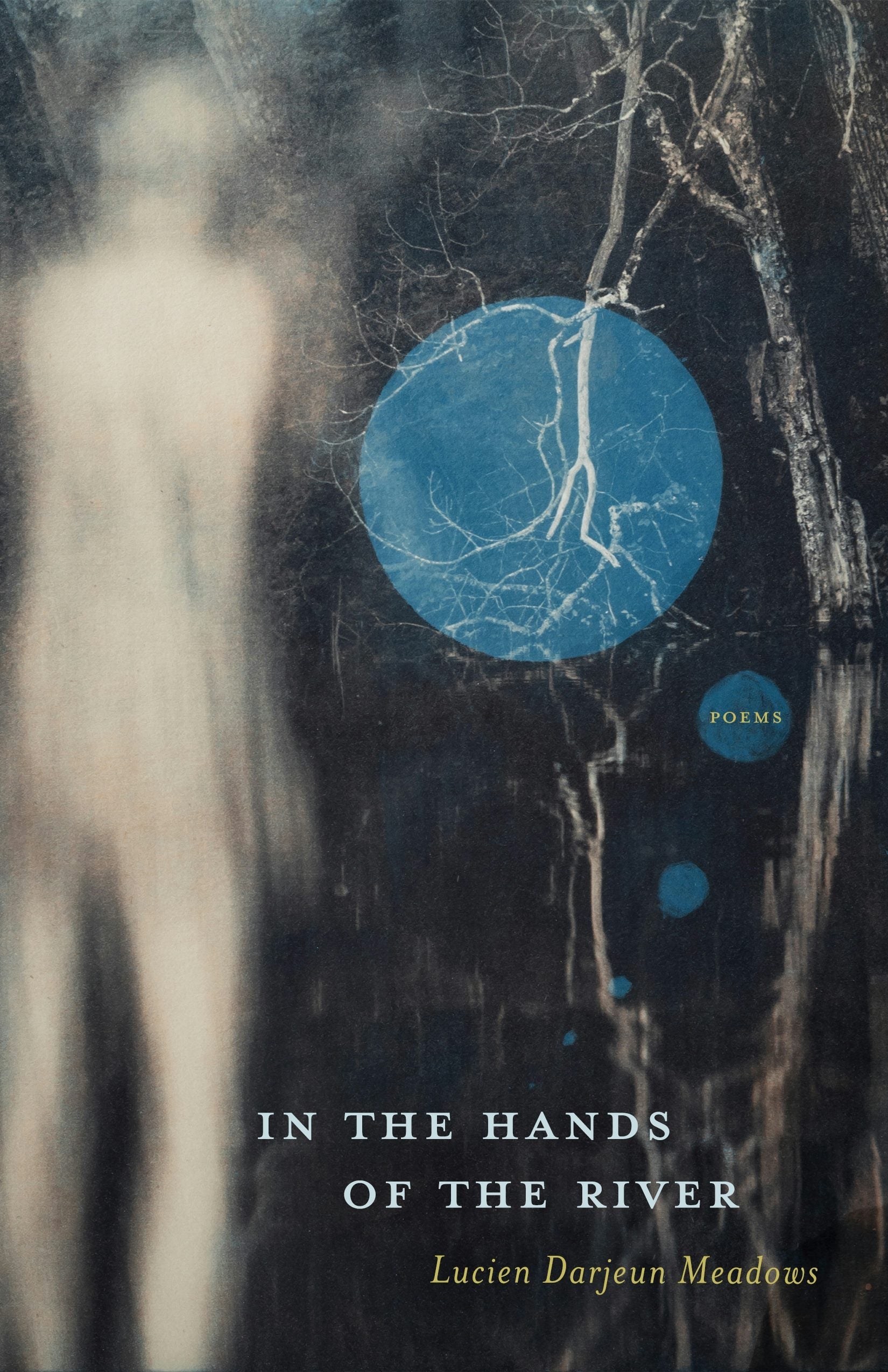Book cover image for In the Hands of the River ISBN: 9781938235993